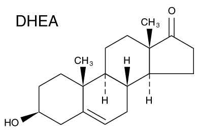 DHEA: מפתח להפיכת ההזדקנות?