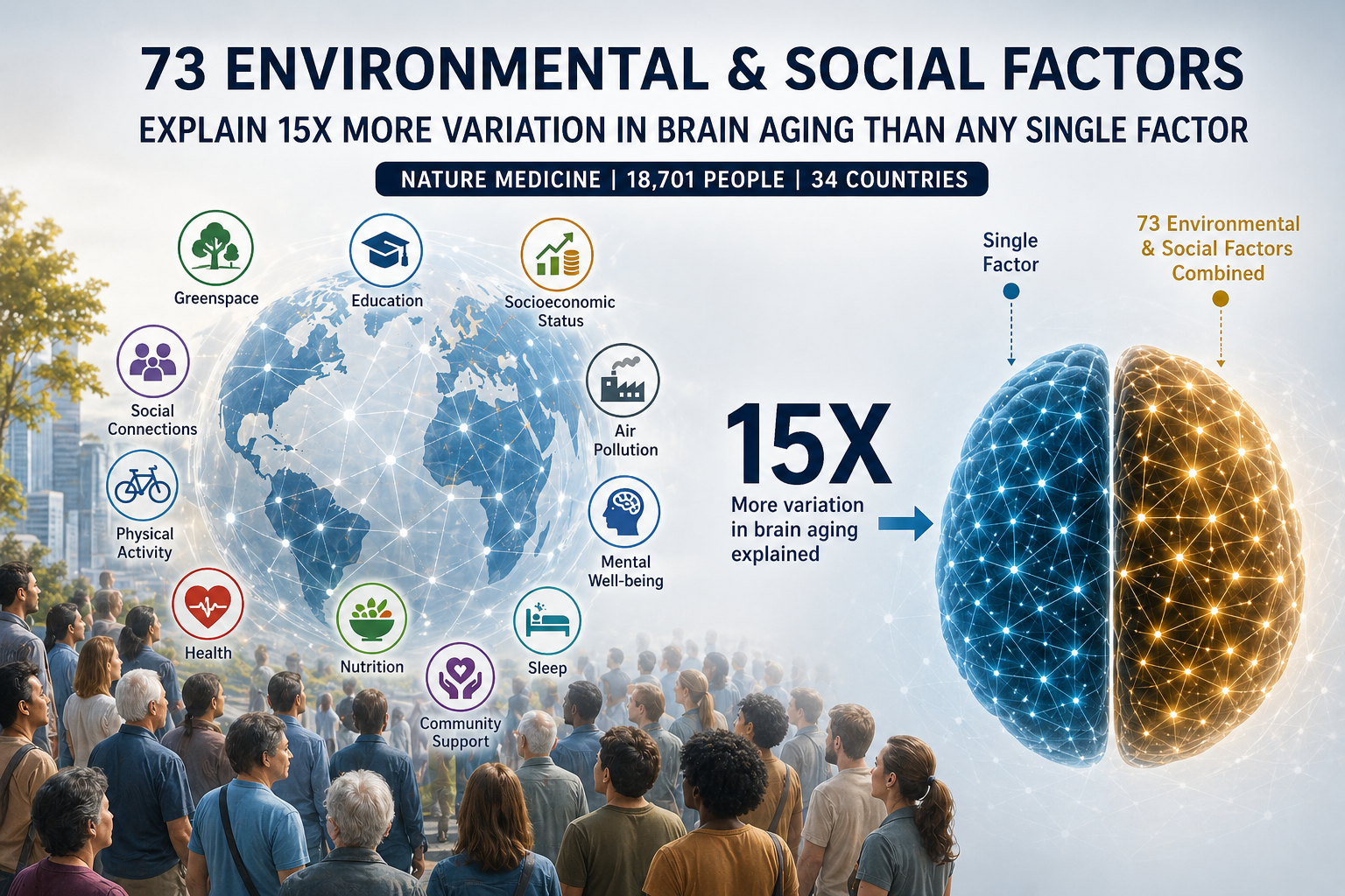 מחקר ענק ב-Nature: סביבה חברתית ופיזית מזקינה את המוח שלך פי 15 יותר ממה שחשבנו