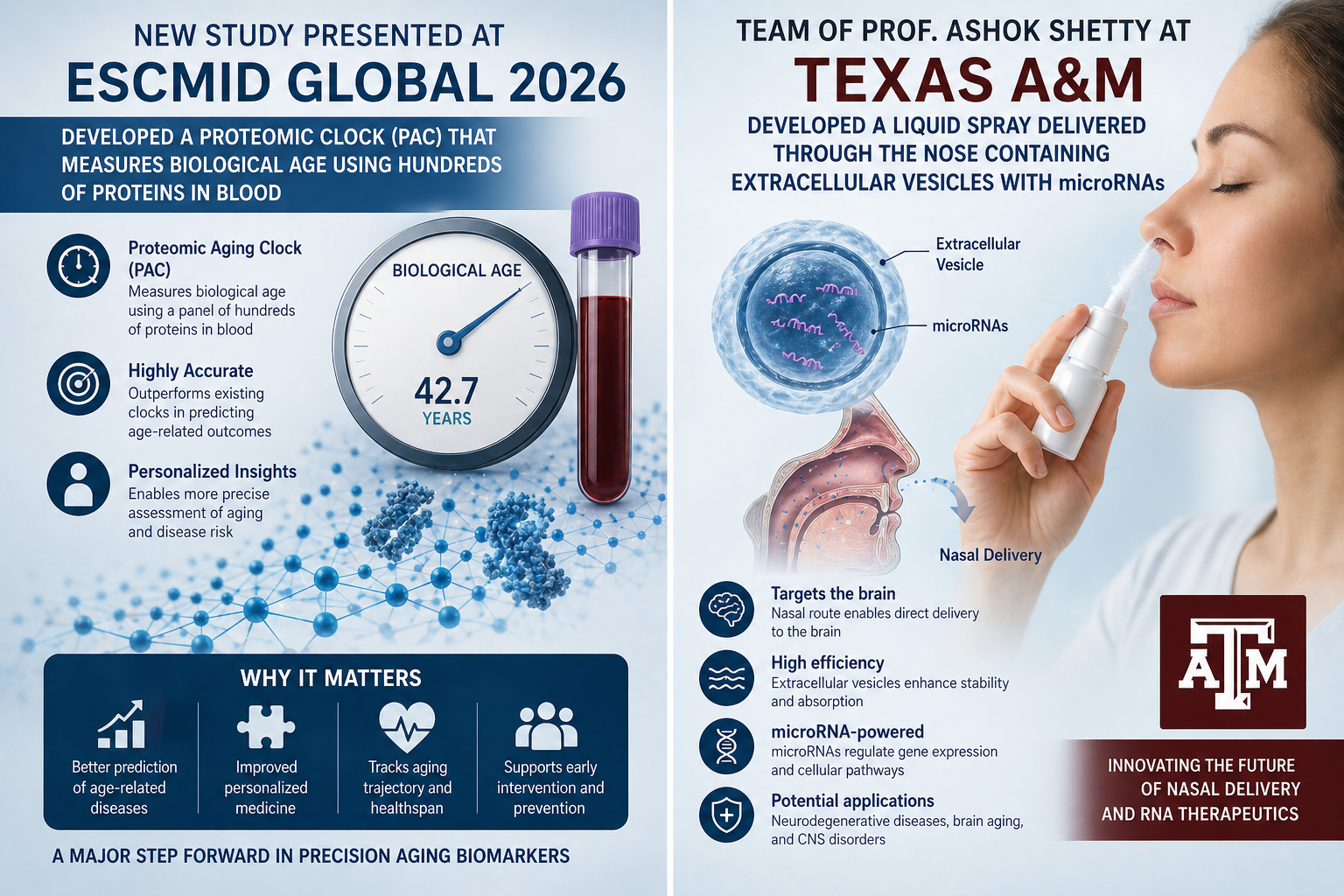 תרסיס דרך האף שמהפך הזדקנות מוחית: פריצת דרך מ-Texas A&M