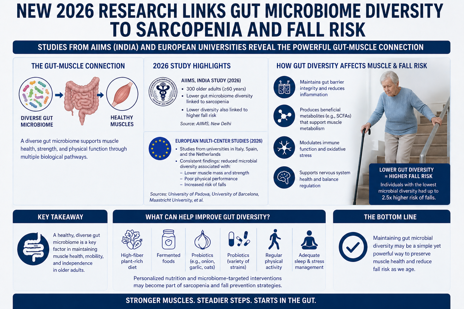 מיקרוביום המעי שלך קובע את חוזק השרירים שלך: הציר החדש בהזדקנות