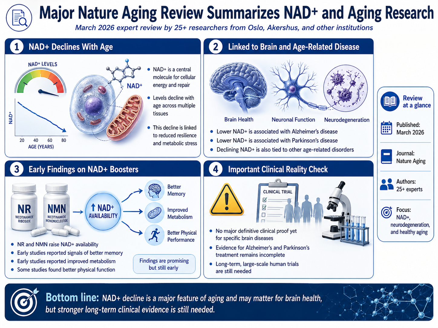 NAD+ נגד אלצהיימר ופרקינסון: 25 חוקרים מסכמים את המחקר העולמי
