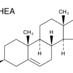 DHEA