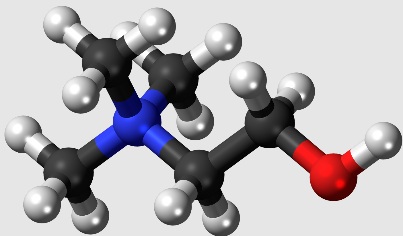פוספטידיל כולין מקושר לזיכרון טוב יותר בגיל העמידה והפחתה של 28 אחוז בסיכון לאלצהיימר